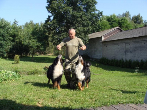 Obrazek
