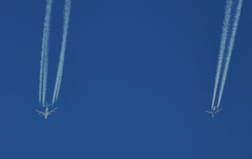 darmowy hosting obrazków