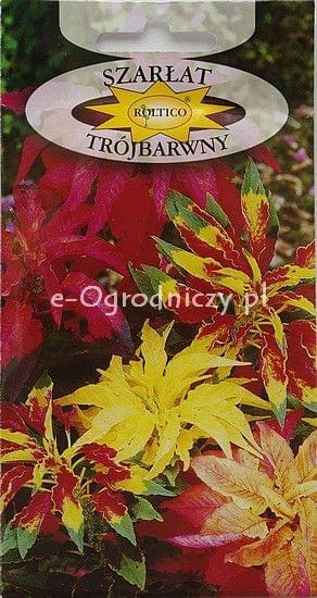 Obrazek