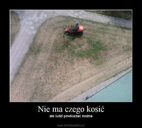 Obrazek