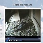 http://images45.fotosik.pl/93/48dadbe189d2a765m.jpg