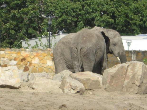 .. urlop w Warszawie .. (8.08.2008 - 11.08.2008) #warszawa #zoo #okęcie #lotnisko #boeing