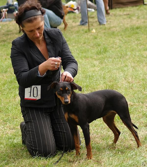 Suki kl. mł. - DUMKA Kalong, lok. II