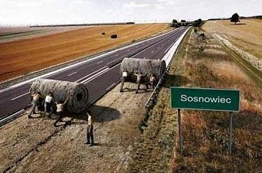 sosnowieś #wieś