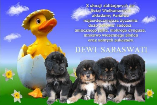 Spokojnych, rodzinnych Świąt życzy Hodowla Dewi Saraswati #psy #MastifTybetanski #ŻyczeniaWielkanocne