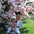 Rodzinka pod magnolia #Kwiaty #Wiosna #magnolia #rośliny #drzewka