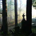 Stary cmentarz zakopiański na Pęksowym Brzyzku należy do elitarnego grona najważniejszych polskich nekropolii. Często nazywa się go Cmentarzem Zasłużonych, bowiem pochowanych jest tu wielu ludzi zasłużonych dla Tatr, a także dla polskiej kultury, nauki...