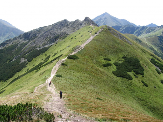 Ornaczańska Przełęcz i Siwe Skały #Góry #Tatry #StarorobociańskiWierch