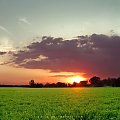 Zdjęcie wykonane w okolicach miasta Brwinów. Przedstawia piękny zachód słońca. #drzewko #drzewo #wschód #pole #łąka #lato #zachód #niebo #chmury