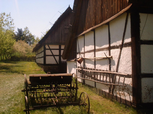 Muzeum Pierwszych Piastów na Lednicy, Wielkopolski Park Etnograficzny w Dziekanowicach.