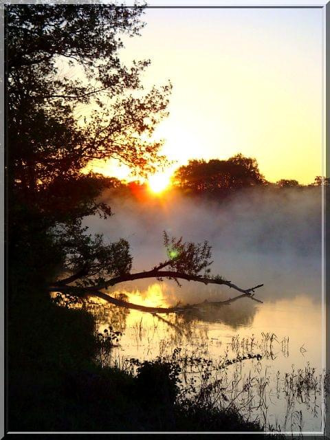 wschód słońca nad starorzeczem warty #wschód #natura #widoki #woda #mgła