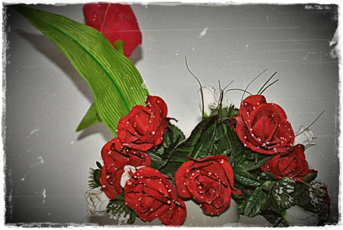 #kwiaty #róże #nastrojowo