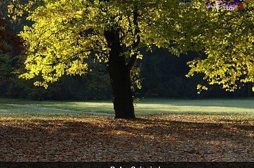 Barwy jesieni #jesień #krajobraz #pejzaż #pulpit #tapety #wallpapers