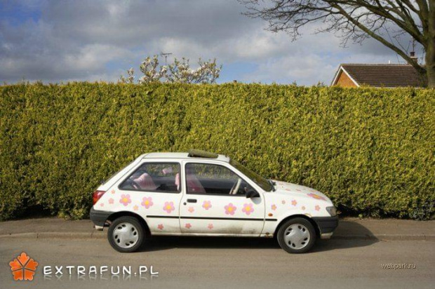 www.extrafun.pl #extrafun