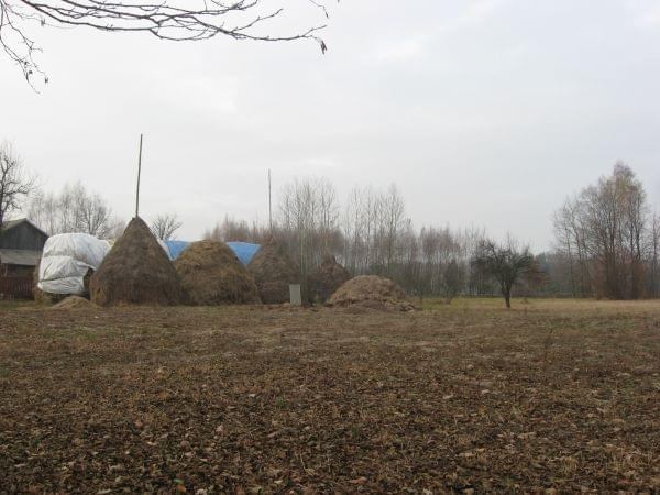 zakonczenie sezonu