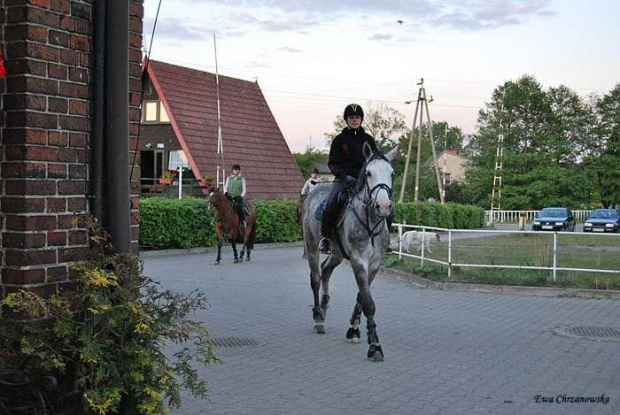 2009.05.13 Stodoły Cykada, Alaryk, Igor