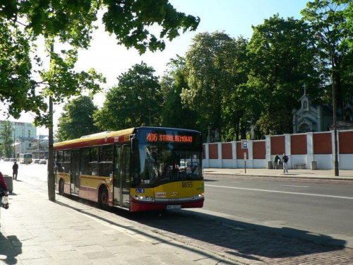 warszawskie autobusy