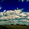 Ta sama panorama tylko jako HDR #chmury #panorama #rzepak #pole #przyroda
