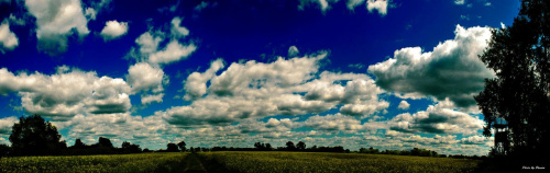 Ta sama panorama tylko jako HDR #chmury #panorama #rzepak #pole #przyroda