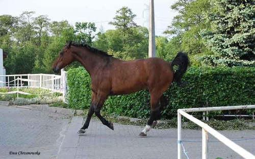 2009.05.21 Trening w Stodołach