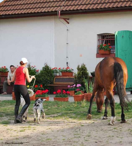 2009.05.21 Trening w Stodołach