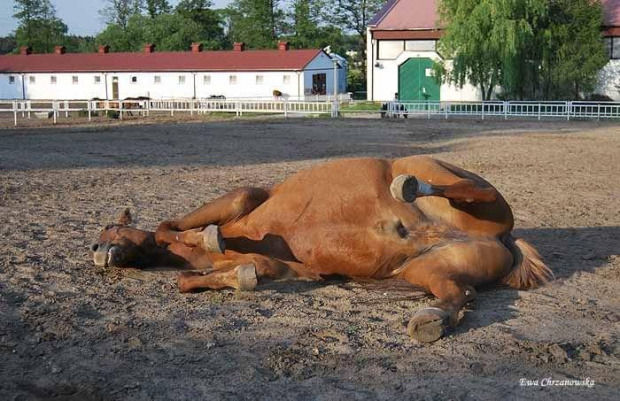 2009.05.21 Trening w Stodołach