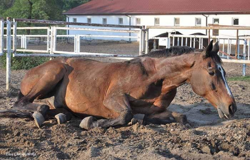 2009.05.21 Trening w Stodołach