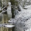 TROCHĘ SYPNĘŁO ŚNIEŻKIEM,A OKOLICA WYPIĘKNIAŁA