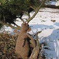 szczurek amigurumi