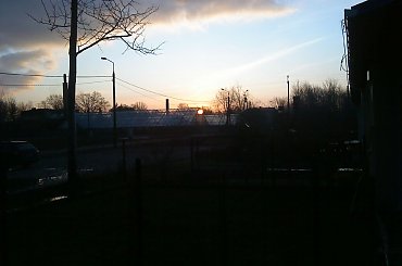 Zdjęcia zrobione telefonem #krajobrazy #koty #ZachódSłońca #kwiaty