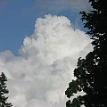 #chmury #niebo #drzewa