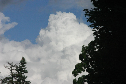 #chmury #niebo #drzewa