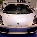 Lamborgini
