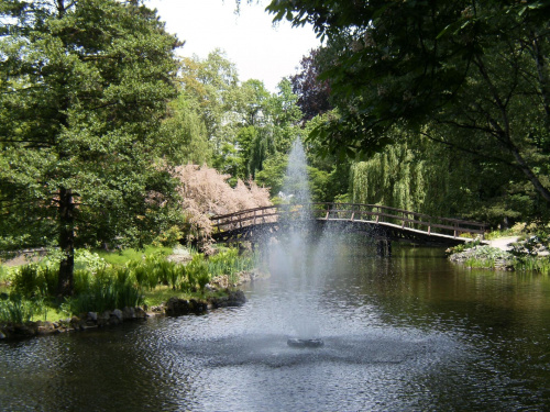 Ogród Botaniczny - Wrocław