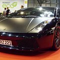 Lamborgini