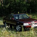 Moja Alfa 164