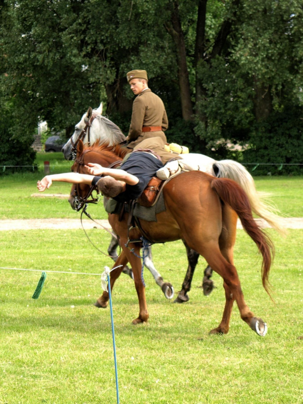 IX Piknik Kawaleryjski w Suwałkach #PiknikKawaleryjski #Suwałki #konie #kawaleria