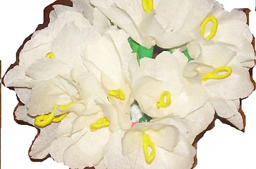 #KwiatyZBibuły #bibuła #krepina #dekoracje #hobby #KompozycjeKwiatowe #MojePrace #pomysły #Agnieszka #pasja #RobótkiRęczne #rękodzieło #moje #RózeZBibuły #Paary