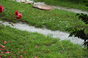 Gradobicie u Ulewa
Osiek/K.Olkusza #grad #gradobicie #ulewa #zjawisko #natura #burza #żeki #zalew #powódź #woda #deszczówka #deszcz #lód #kulki