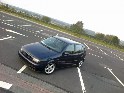 polo 6n