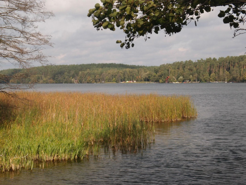 Brodnicki Park Krajobrazowy #BrodnickiParkKrajobrazowy #las #rower