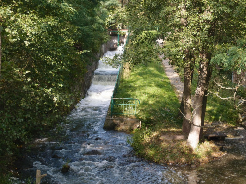 Brodnicki Park Krajobrazowy #BrodnickiParkKrajobrazowy #las #rower