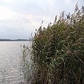 Białoławki