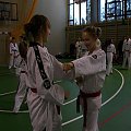 seminarium z MIstrzem Kang Cheol In 7 dan #taekwondo #tkd #walka #zawody