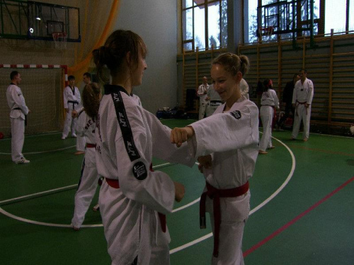 seminarium z MIstrzem Kang Cheol In 7 dan #taekwondo #tkd #walka #zawody