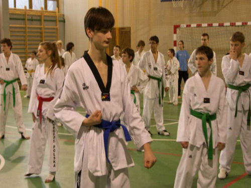 seminarium z MIstrzem Kang Cheol In 7 dan #taekwondo #tkd #walka #zawody