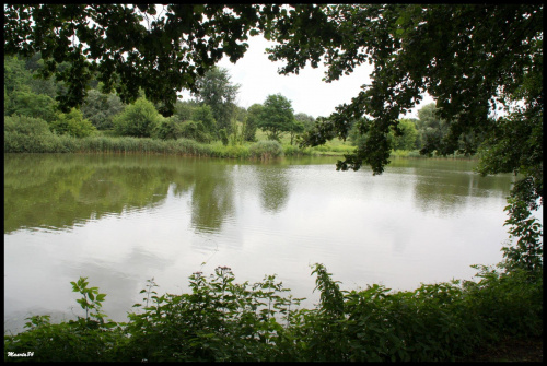 W poznańskim zoo