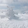 Śnieżny łoś :) #Karkonosze #zima #śnieg #Śnieżka