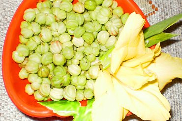 Owoce nasturcji #nasturcja #kapary #owoce #gotowanie #jedzenie #kulinaria #PrzepisyKulinarne