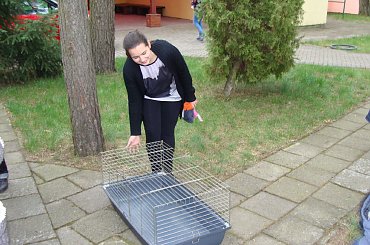 Karpicko 02-05-2013 _ AUKCJA dla freciaków #aukcja #fretka #fretki #Karpicko2013 #licytacja #porterówka #SPF #zlot